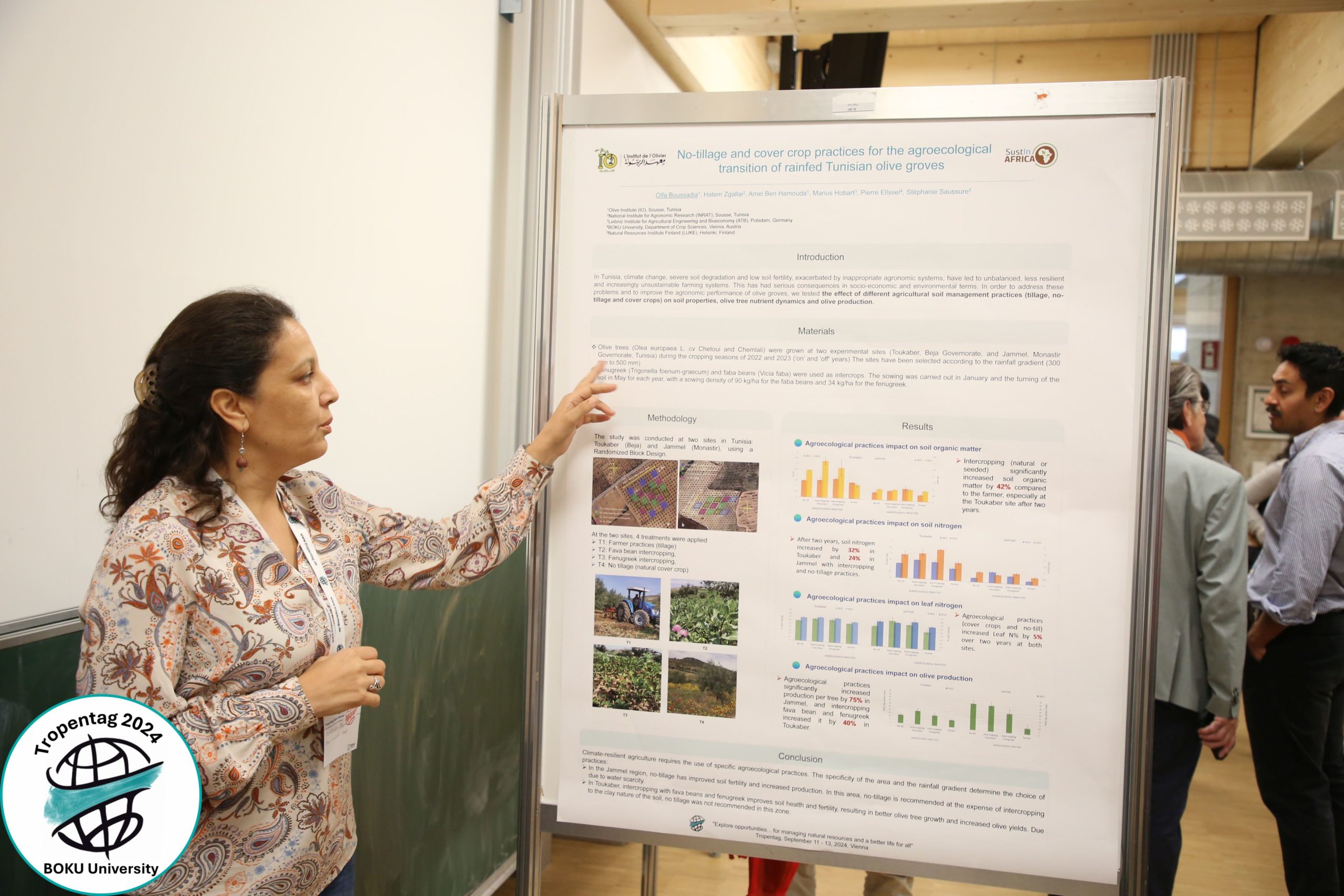 The Future of Tunisian Olive Groves: Challenges and Opportunities in Times of Climate Change